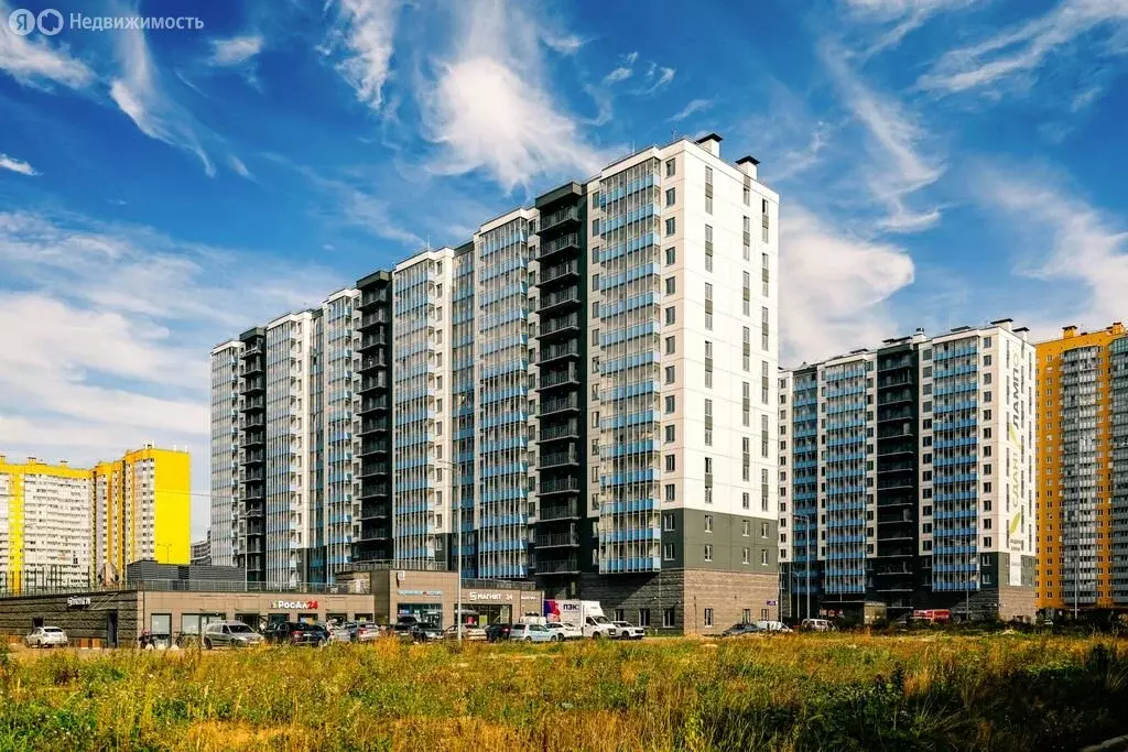 Квартира-студия: Мурино, Графская улица, 6к4 (20.4 м) - Фото 2