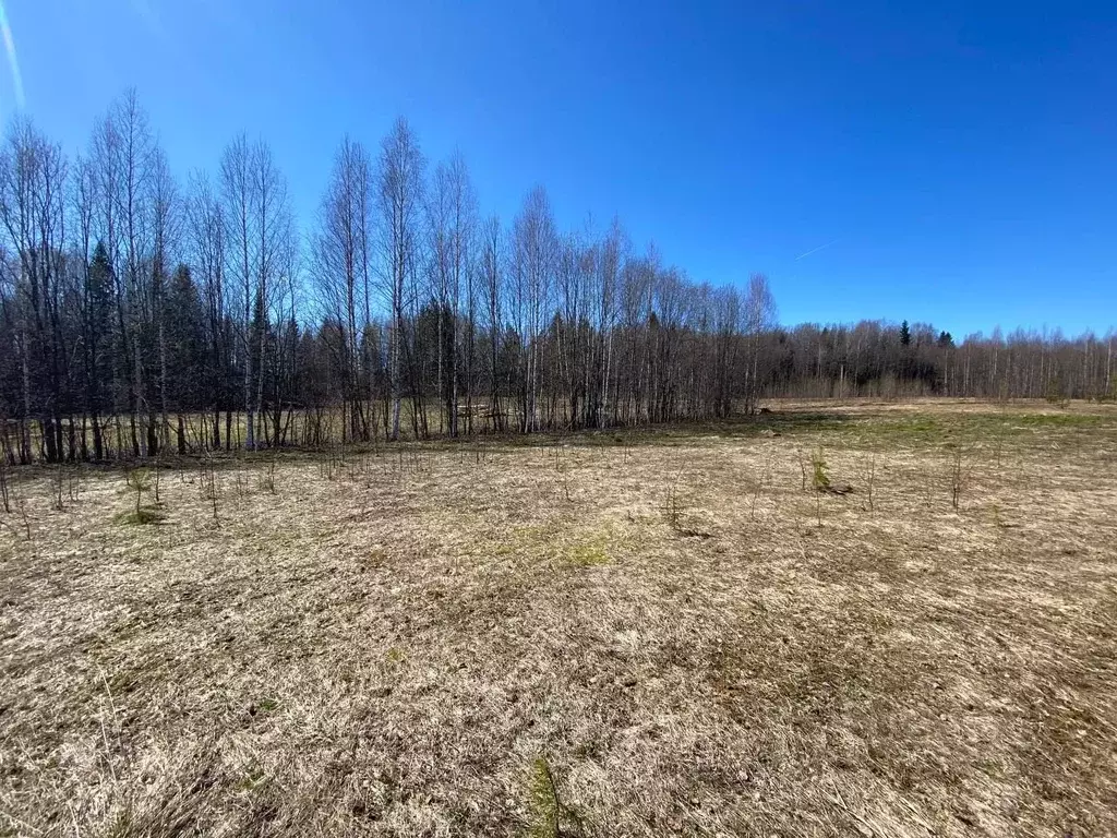 Участок в Коми, Сыктывдинский район, с. Выльгорт  (10.0 сот.) - Фото 1