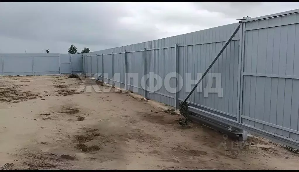 Участок в Новосибирская область, Новосибирский район, с. Криводановка, ... - Фото 1