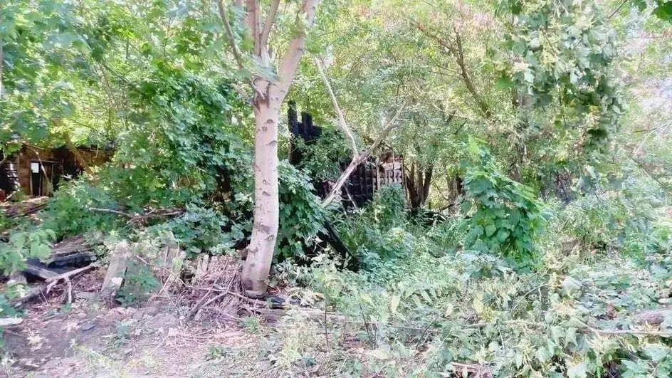 Участок в Брянская область, Брянск ул. Вали Сафроновой (17.0 сот.) - Фото 2