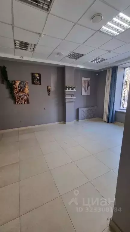 Помещение свободного назначения в Северная Осетия, Владикавказ ул. ... - Фото 1