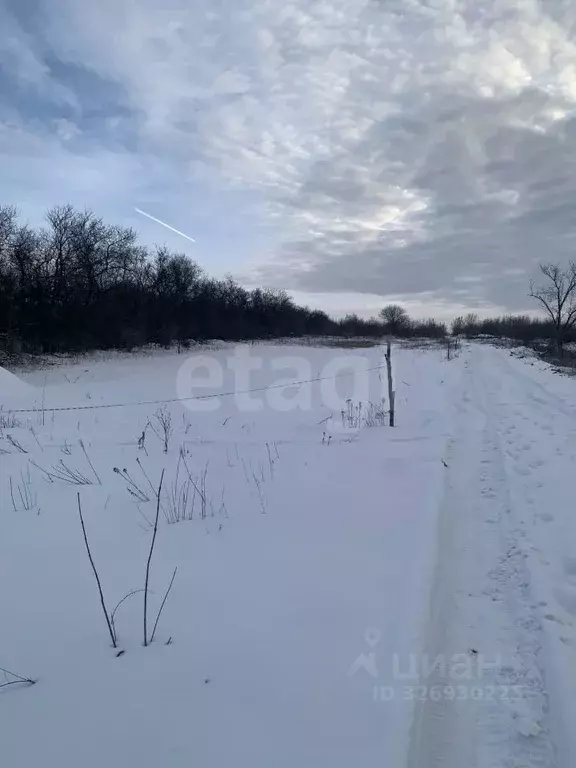 Участок в Ростовская область, Октябрьский район, пос. Персиановский, ... - Фото 1
