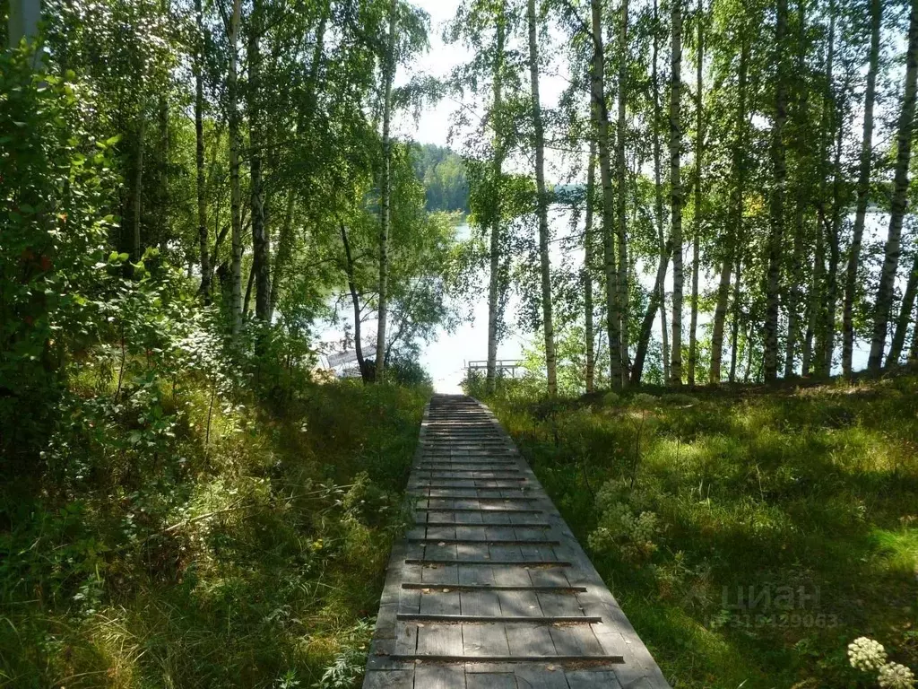 Участок в Нижегородская область, Сокольский муниципальный округ, д. ... - Фото 1
