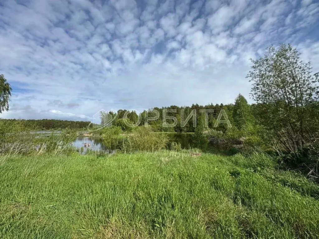 Участок в Тюменская область, Тюменский муниципальный округ, с. Ембаево ... - Фото 2