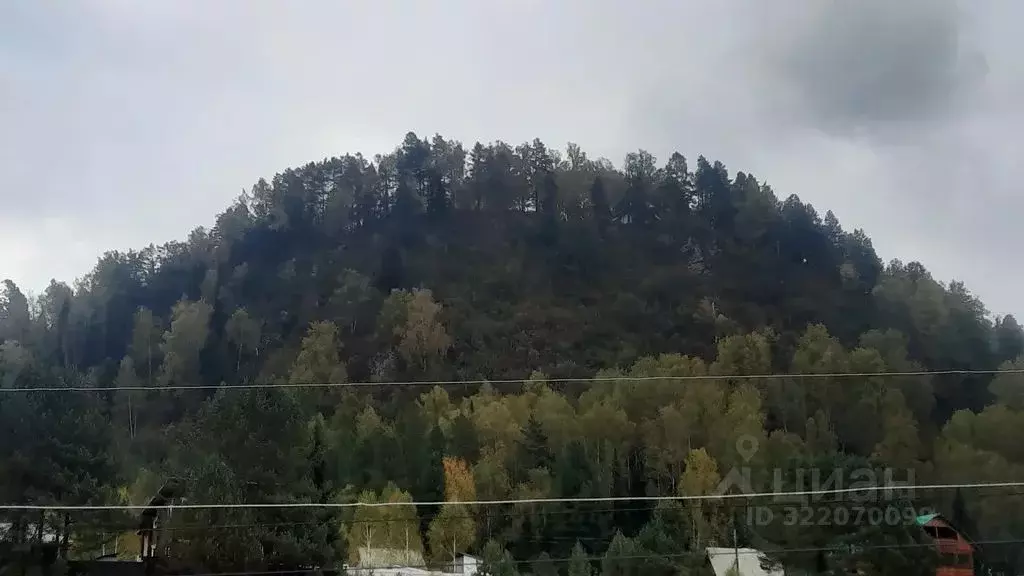 Комната Алтай, Турочакский район, с. Артыбаш Молодежная ул., 19А - Фото 2