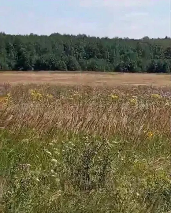 Участок в Татарстан, Пестречинский район, Конское с/пос, с. Конь ул. ... - Фото 2