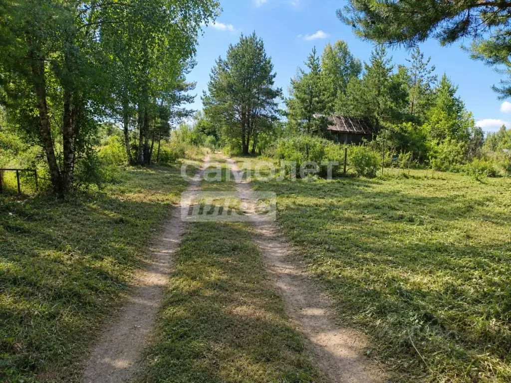 Участок в Марий Эл, Волжск Луговое СТ, 2 (6.0 сот.) - Фото 1
