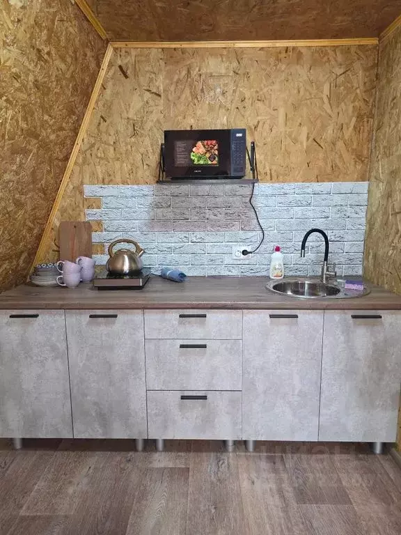 Дом в Воронежская область, Богучар ул. Брагонина, 36 (40 м) - Фото 0