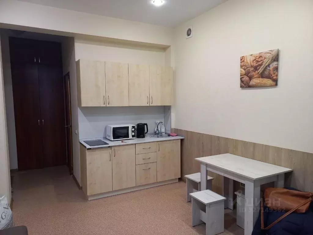 Студия Иркутская область, Иркутск ул. Фурье, 15 (25.0 м) - Фото 1