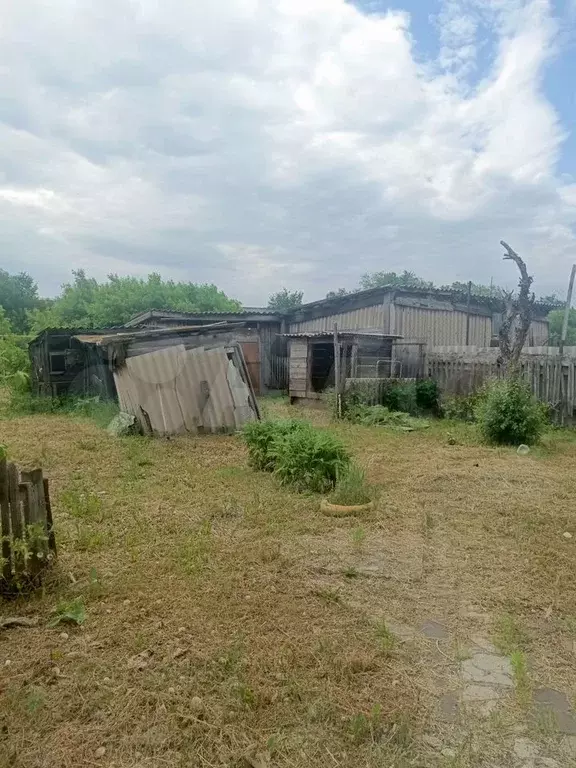 Дом 50 м на участке 15 сот. - Фото 1