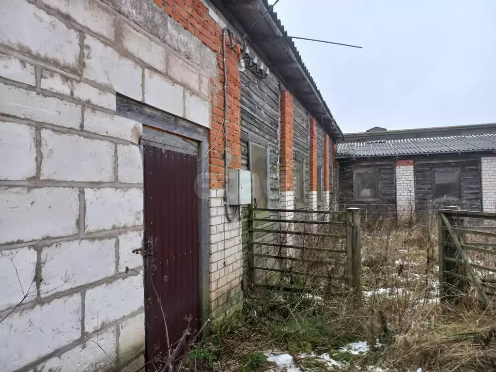 Склад в Вологодская область, Белозерский муниципальный округ, д. ... - Фото 1