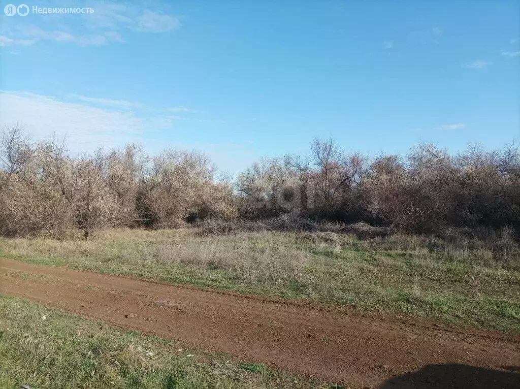 Участок в Феодосия, Казацкая улица (9.6 м) - Фото 2