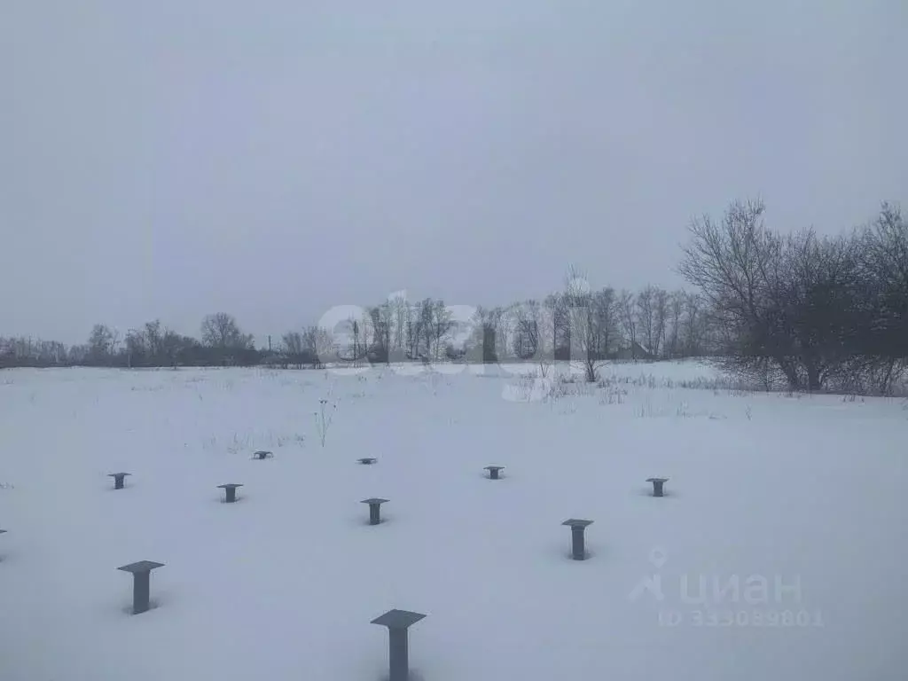 Дом в Белгородская область, Корочанский муниципальный округ, с. ... - Фото 2