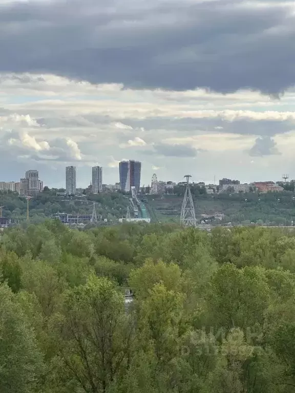 1-к кв. Нижегородская область, Бор ул. Луначарского, 208 (43.0 м) - Фото 0