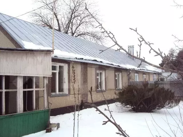 липецкая область, становлянский район,д. село барсуково липецкая область. погода барсуково липецкая. липецкая область барсуково дендрарий. ламское становлянский район липецкая.