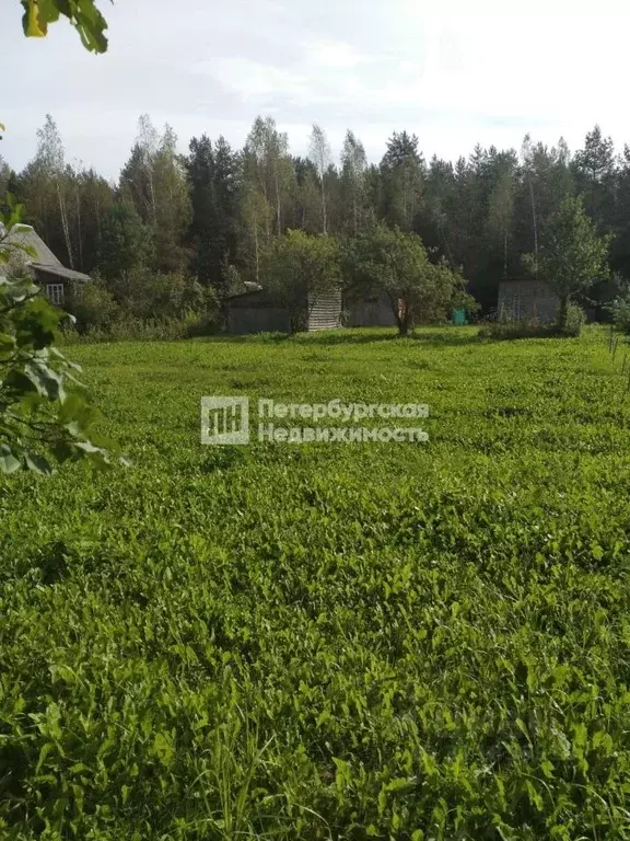 Участок в Ленинградская область, Гатчинский муниципальный округ, пос. ... - Фото 1