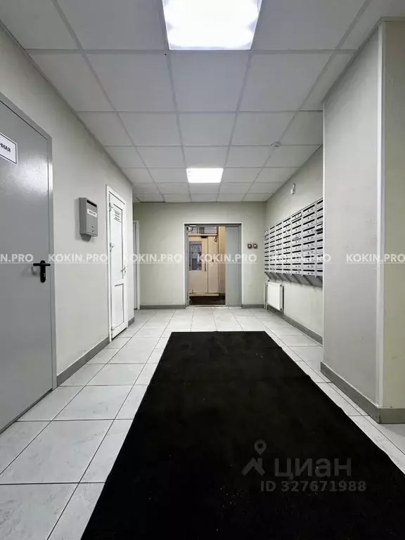 Студия Санкт-Петербург ул. Оптиков, 37 (22.8 м) - Фото 2