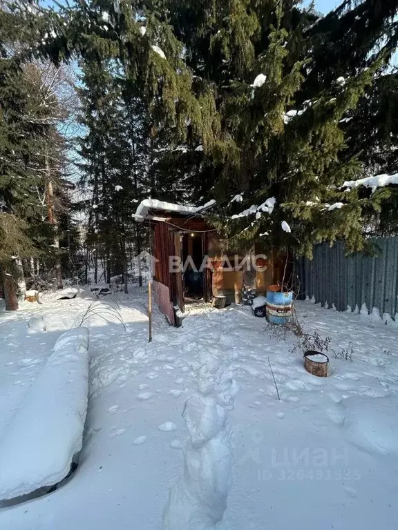 Дом в Иркутская область, Иркутский муниципальный округ, Илга СНТ ул. ... - Фото 2