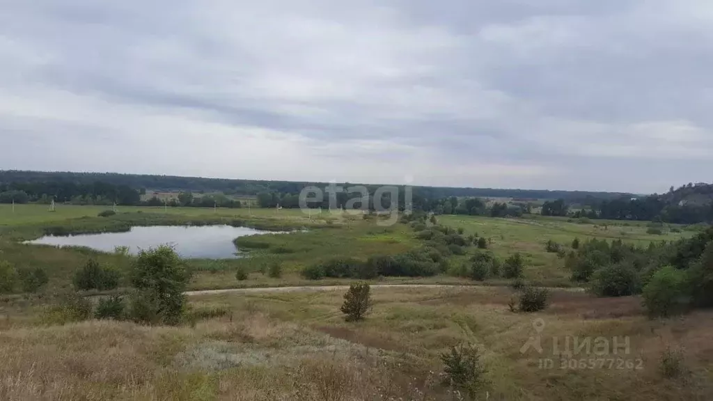 Участок в Воронежская область, Рамонский район, с. Березово ... - Фото 1