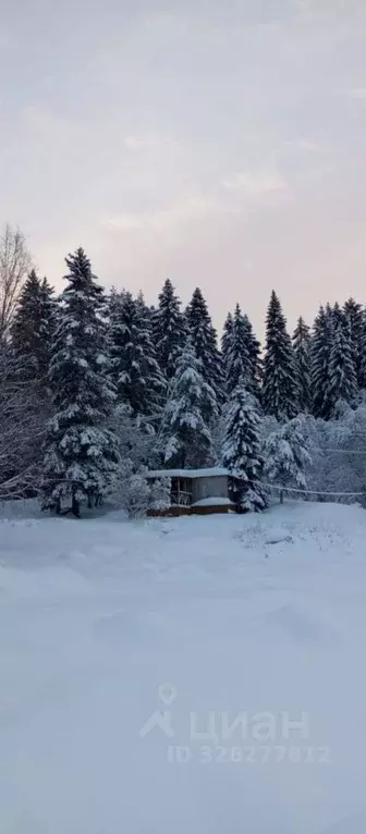 Участок в Карелия, Сортавальский муниципальный округ, пос. Мейери  ... - Фото 1