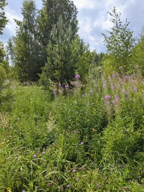 Участок в Владимирская область, Владимир ул. Вальковская (10.0 сот.) - Фото 1