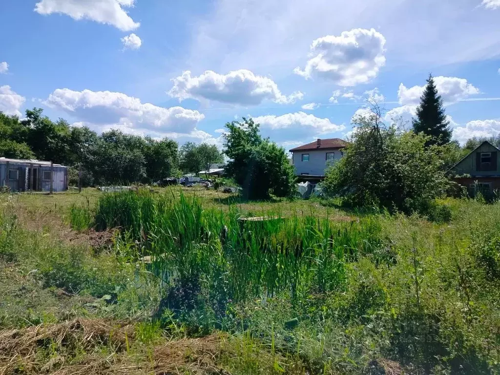 Участок в Тверская область, Конаковский муниципальный округ, ... - Фото 1