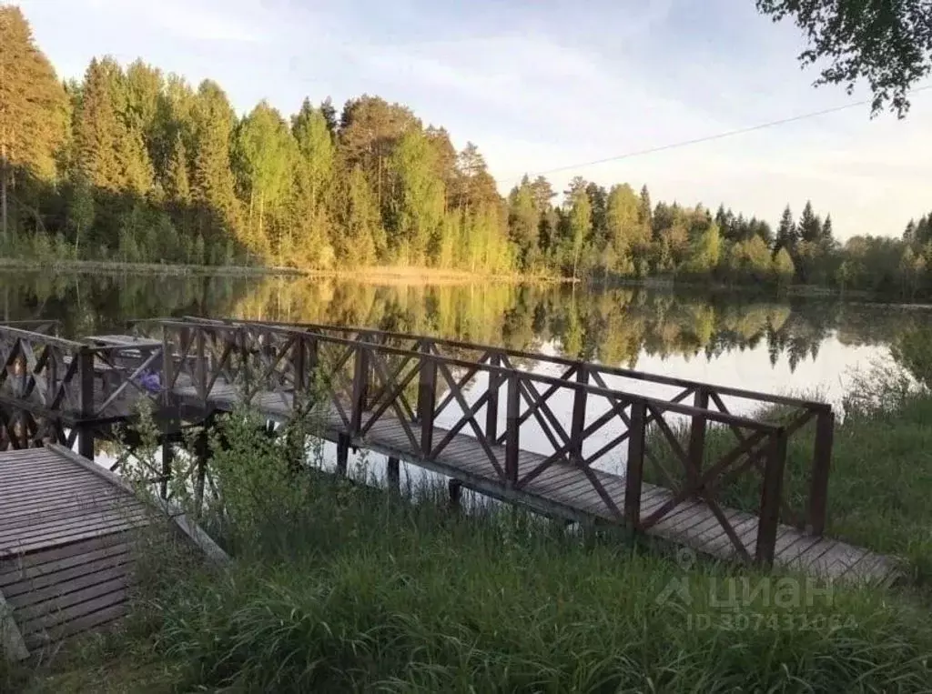 Помещение свободного назначения в Удмуртия, Увинский район, с. ... - Фото 1