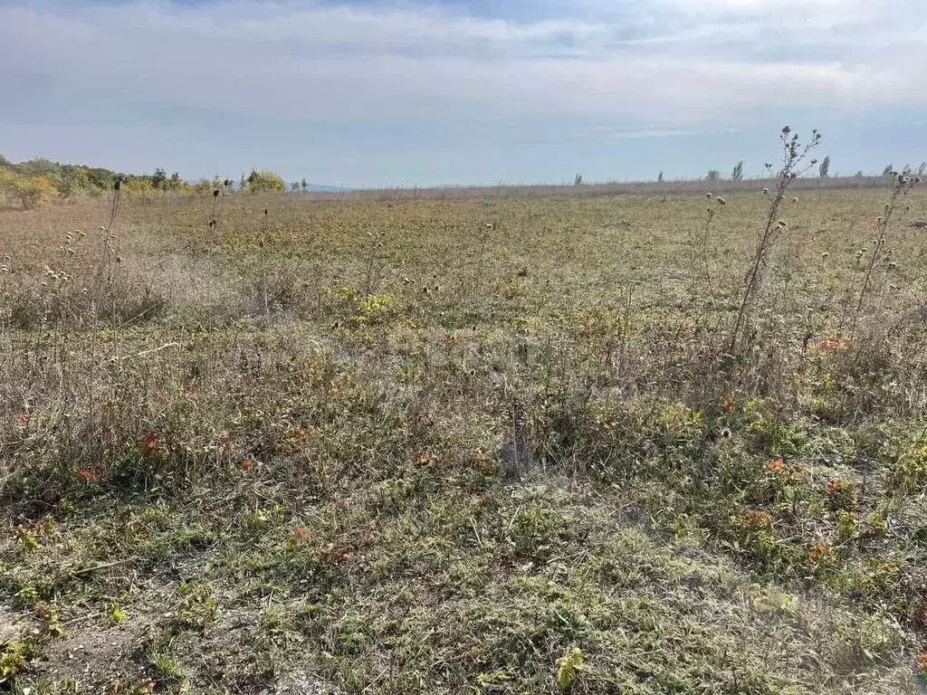 Участок в Краснодарский край, Новороссийск городской округ, ... - Фото 0