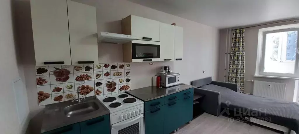 Студия Ростовская область, Ростов-на-Дону пер. Андреева (27.0 м) - Фото 2