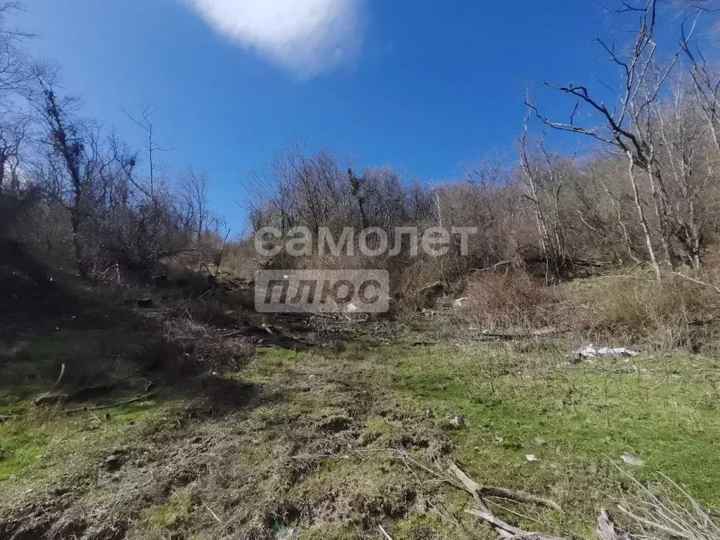 Участок в Краснодарский край, Туапсинский муниципальный округ, ... - Фото 2