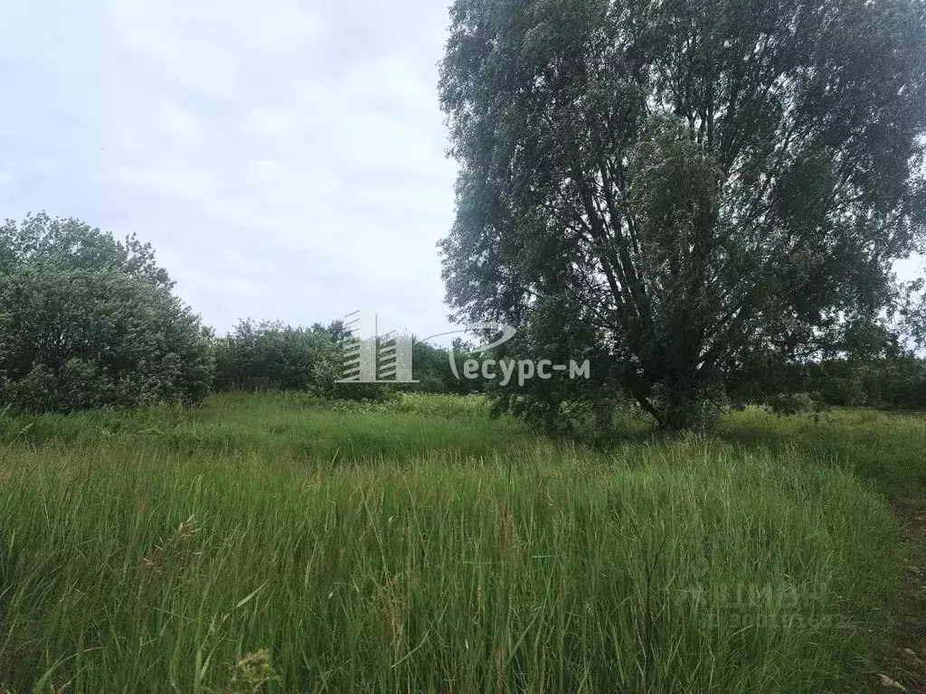 Участок в Нижегородская область, Выкса городской округ, д. Змейка ул. ... - Фото 0