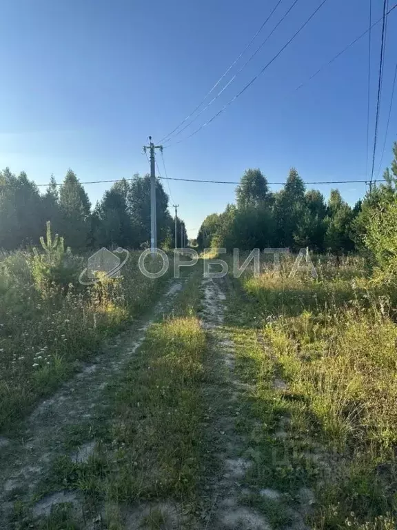 Участок в Тюменская область, Нижнетавдинский район, д. Красный Яр, ... - Фото 2