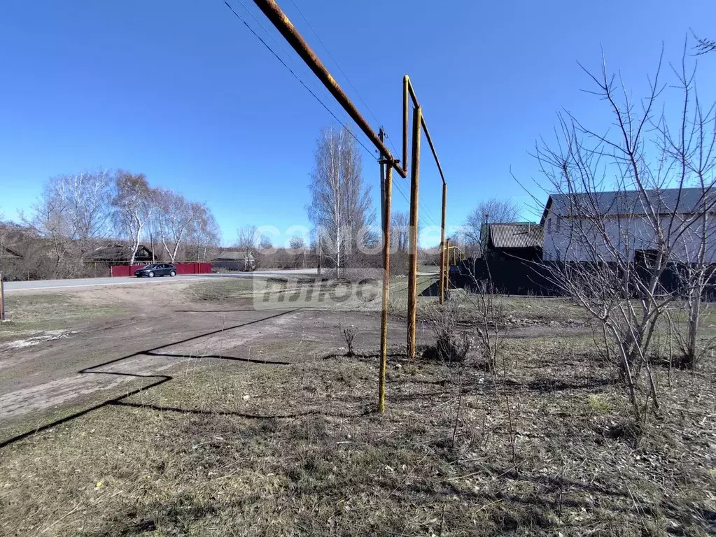 Участок в Самарская область, Сызранский район, с. Заборовка ... - Фото 2