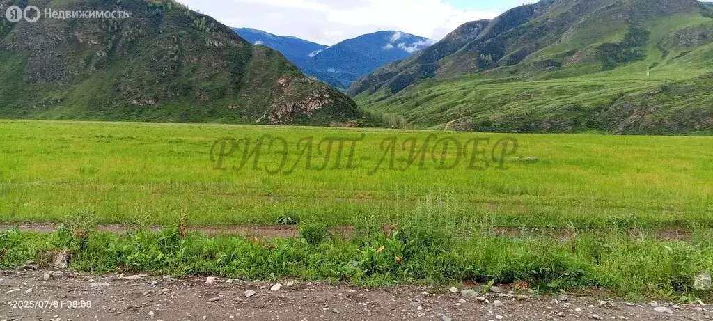 Участок в Чемальский район, Куюсское сельское поселение (2 м) - Фото 1