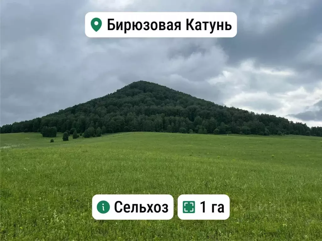 Участок в Алтай, Майминский район, с. Манжерок  (1.0 сот.) - Фото 1