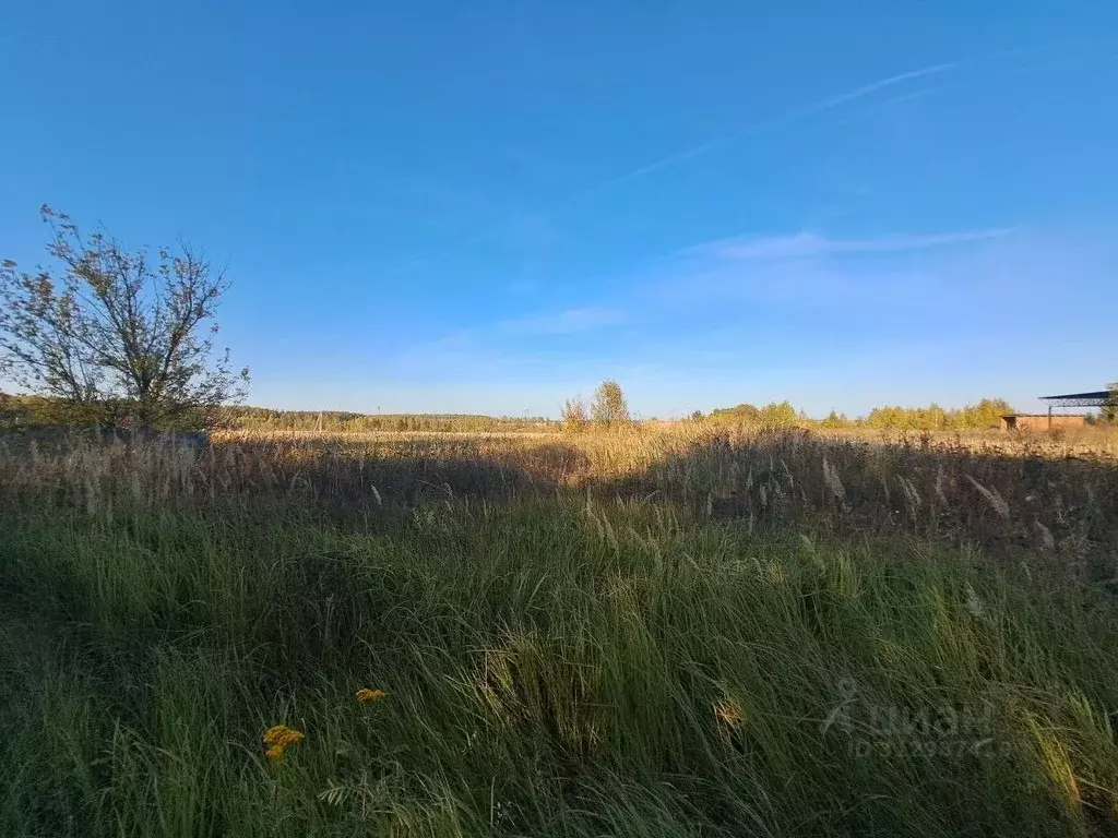 Участок в Московская область, Кашира городской округ, д. Никулино  ... - Фото 0