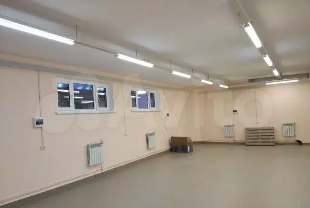 Сдам помещение свободного назначения, 233.9 м - Фото 1