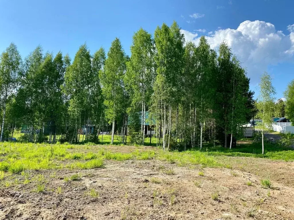 Участок в Ленинградская область, Приозерский район, Раздольевское ... - Фото 1