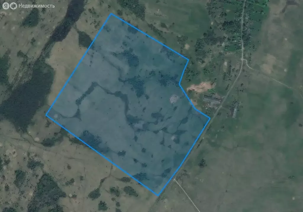 Участок в Палкинский район, Новоуситовская волость, деревня Новая ... - Фото 1