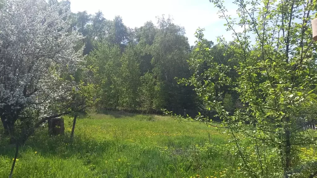 Дом в Красноярский край, Красноярск ул. Борисевича, 1г (20.0 м) - Фото 1