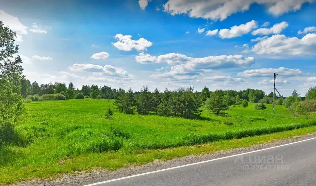 Участок в Московская область, Богородский городской округ, д. Тимково ... - Фото 1