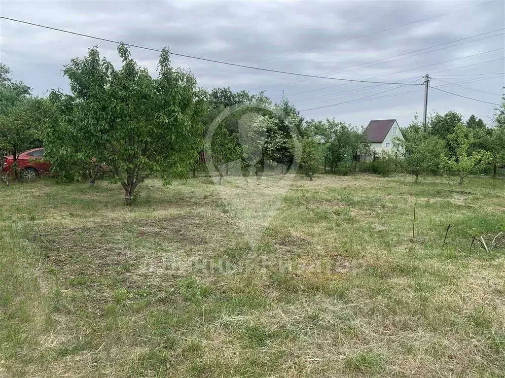 Участок в Рязанская область, Рязань Весна СТ, 365 (6.0 сот.) - Фото 1