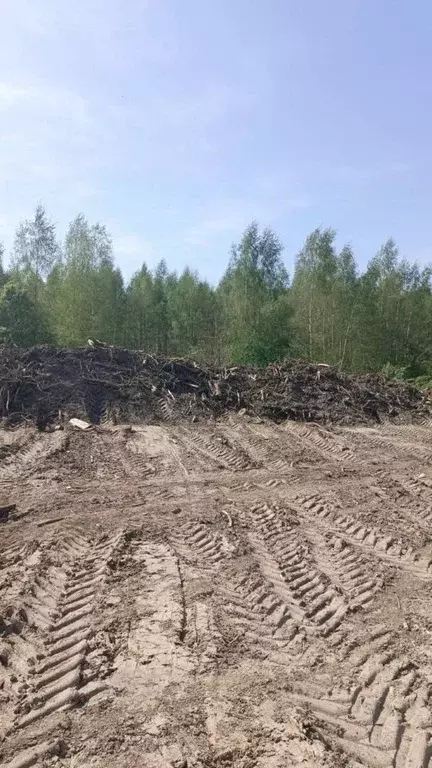 Участок в Московская область, Талдом  (14.56 сот.) - Фото 0