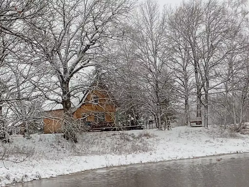 Дом в Новгородская область, Новгородский район, Борковское с/пос, д. ... - Фото 2