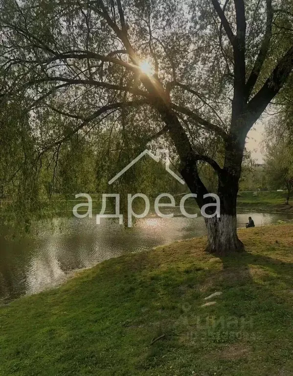1-к кв. Самарская область, Самара Воронежская ул., 143 (29.8 м) - Фото 2