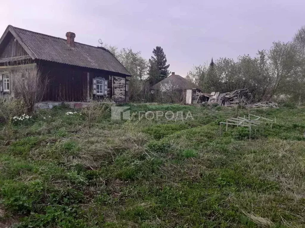 Дом в Кемеровская область, Калтан ул. 1-я Горького, 5 (29 м) - Фото 0