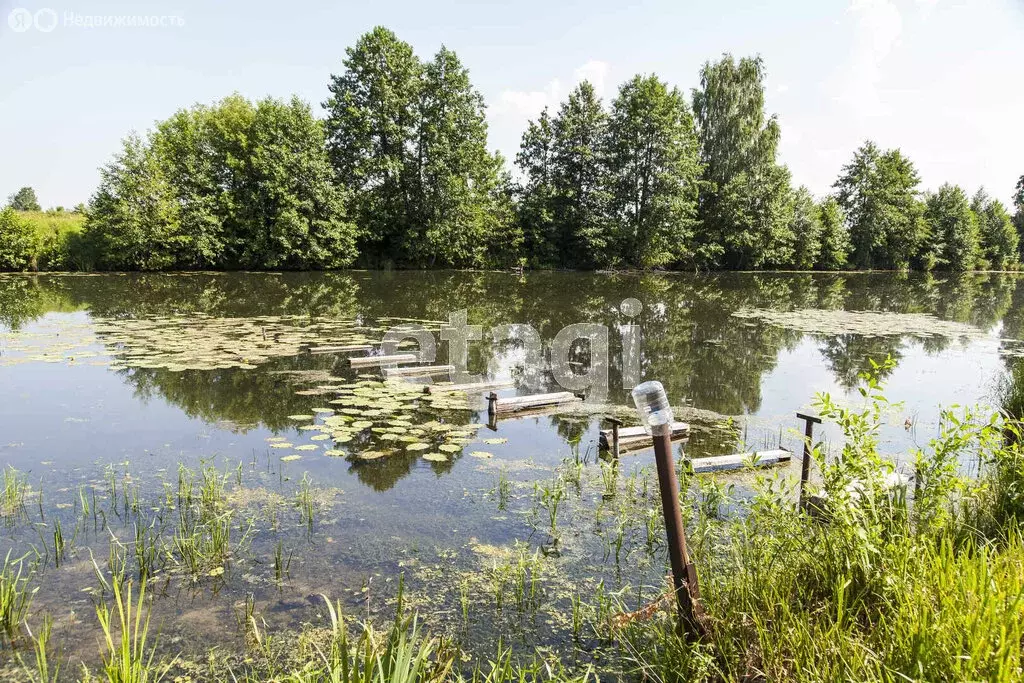 Дом в Владимирская область, Меленковский муниципальный округ, село ... - Фото 1