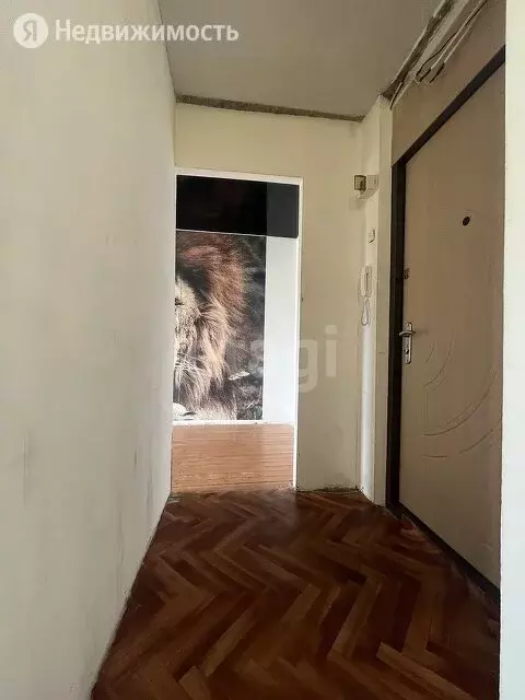 1-комнатная квартира: Балашов, Фестивальная улица, 8 (31.2 м) - Фото 1