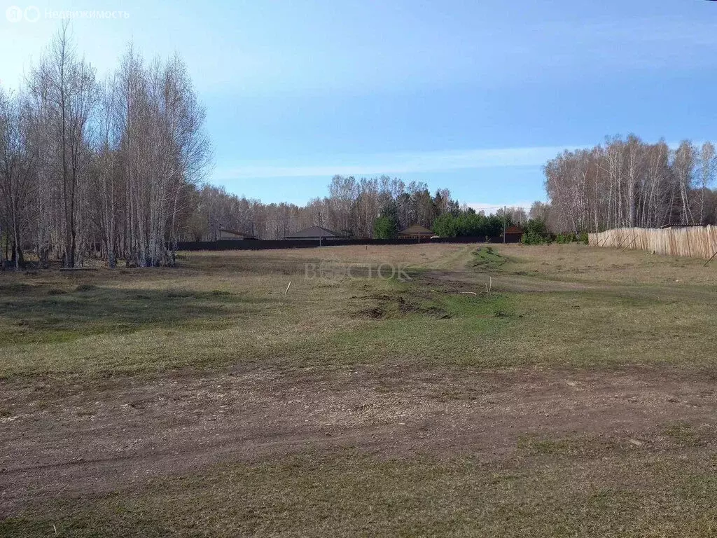 Участок в Шуваевский сельсовет, село Совхоз Сибиряк (15 м) - Фото 1