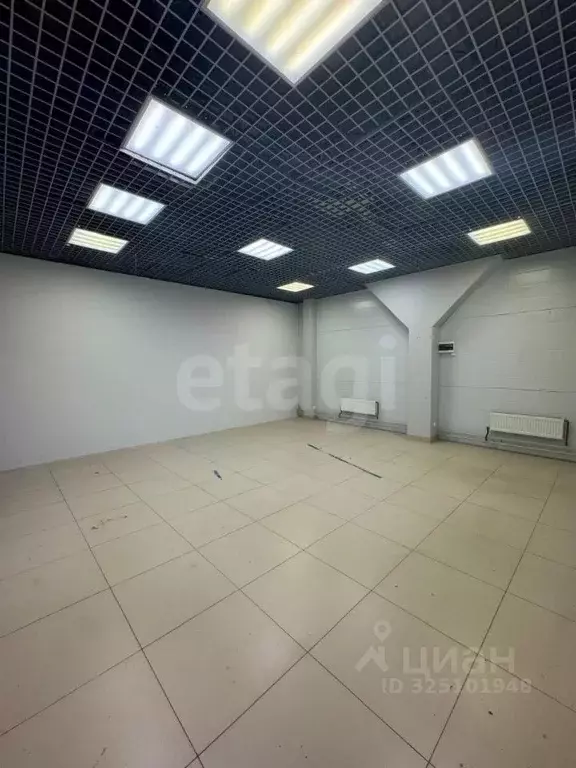 Торговая площадь в Псковская область, Псков ул. Яна Фабрициуса, 5В (35 ... - Фото 2